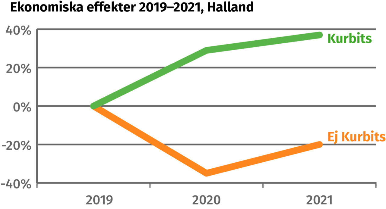 Ekonomiska effekter_Affärsutveckling Hallan d 2080
